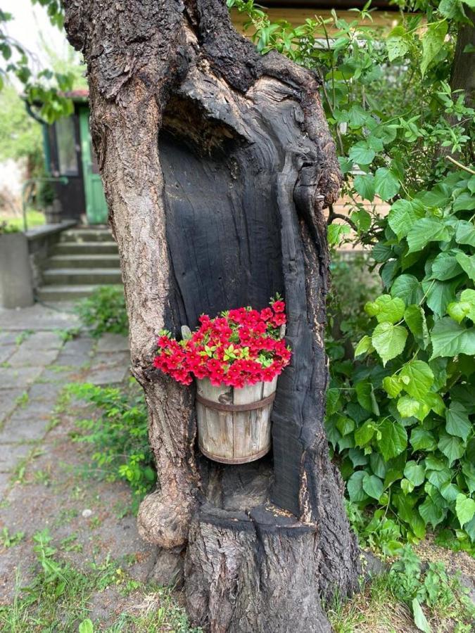 Old Summer House With Renovated Bathroom Praag Buitenkant foto